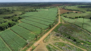 3000 Acres of Rich Farming Land in Alajuela