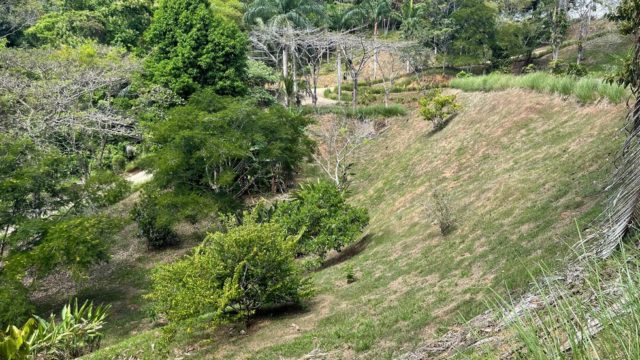 Fertile Land with Fruits Trees