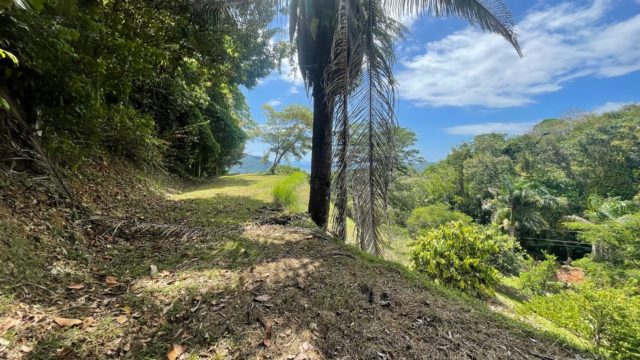 Close to Dominical Beach