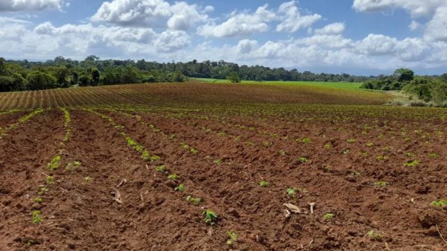 Ready to Grow Many Crops