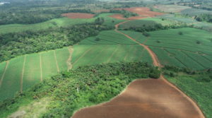 Stunning 1061 Hectares Ranch in La Fortunas Lush Agricultural Landscape