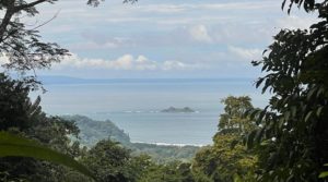 17 Acres Of Rainforest With Whales Tail Ocean Views Minutes From Uvita
