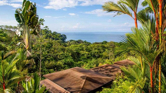 Surrounded by Lush Rainforest