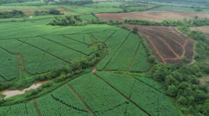 Perfect Farm for Crops and Cattle of 2400 Acres in Alajuela