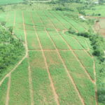620 Hectares of Arable Land