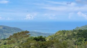 40 Acres Of Farm Land With Waterfalls And Whales Tail Ocean View