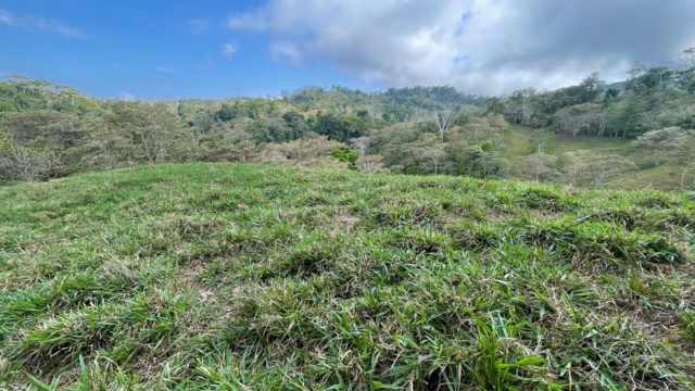 Fertile Soils for Farming