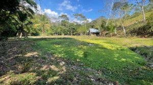 21.5 Acres in San Isidro del General with Its Own Private Waterfalls