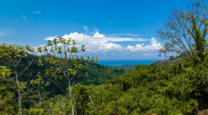 Majestic Farm in the Mountains Above Uvita with Waterfall and Ocean Views