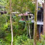 Sustainable Income Stream