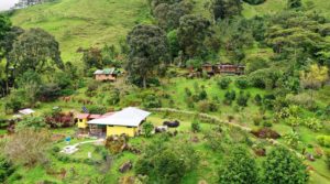 100 Acre Organic Farm with Coffee and Cabins