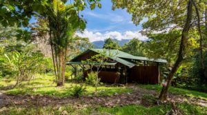 Charming One Bedroom Home Nestled in the Rainforest
