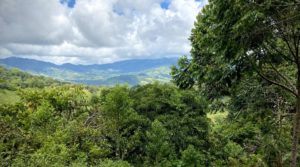 Prime Platanillo Acreage Lot with Untapped Potential Close to Dominical