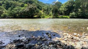 Commercial Or Residential Riverfront Land Parcels Near Dominical