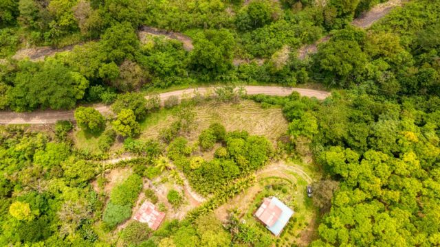 308 Acres Land in Cortes