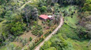 Beautiful Farm with Cool Breeze Weather and Close to Dominical Beach