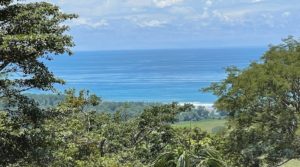 Exceptional Ocean View Property with Diverse Building Sites