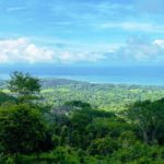1.43 Acres Property in Uvita