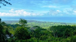 Gorgeous 1.43 Acres in Uvita Costa Rica Your Slice of Paradise Awaits