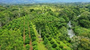 Over 6 Acres Riverfront Fruit Farm in San Isidro with Cool Climate