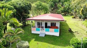 Tropical Organic Fruit Farm with 2 Bedroom Home