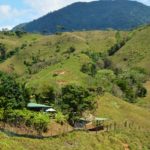 Agricultural Opportunities