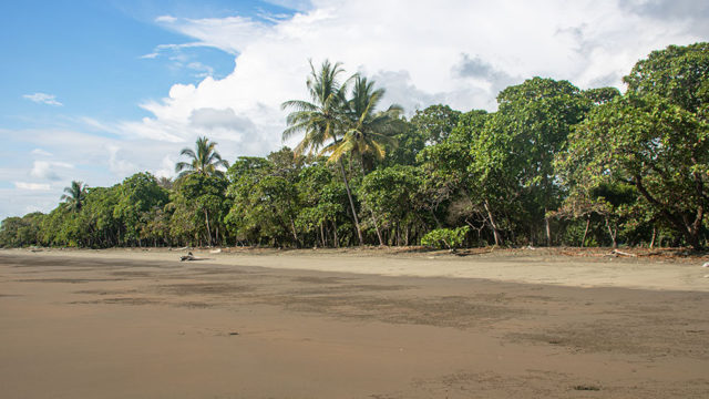 Beach Proximity