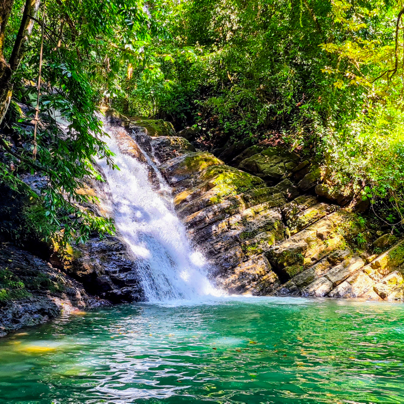 Poza Azul Waterfall Dominicalito